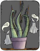 Plant Portraits: Ghost